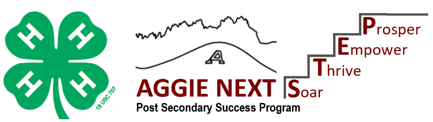 Aggie Next logo with a green four-leaf clover on the left and red text “AGGIE NEXT” beside a stair-step with the words Prosper, Empower, Thrive, and Soar.